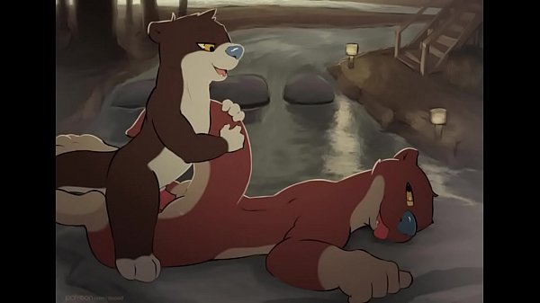 Gay Animated Furry Porn Compilation: Heres da yiff