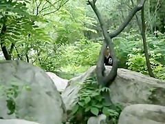 Chinese Guys Out In Public