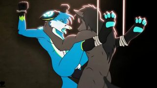 Gay Furry Porn Cumpilation Animations Final Round for August 2018