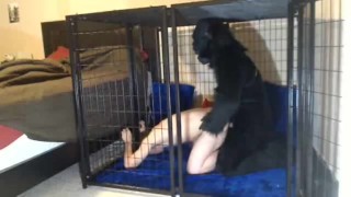 Gorilla and his Pet, Bareback straight gay porn