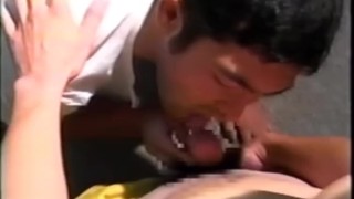 Japan muscle hair bear