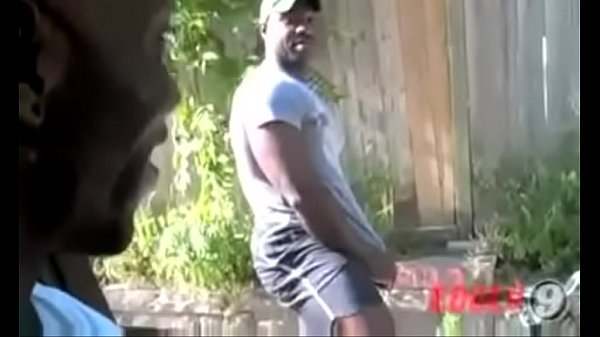 Socando fundo… queria dois vizinhos como esses aí