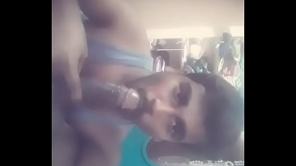 Gay sucking in room