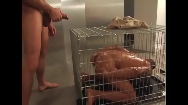 levando mijada na cara e pica no cu