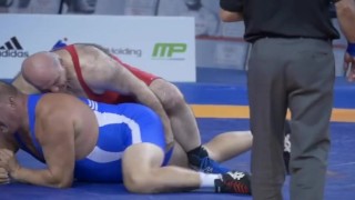 Chubby Bear Wrestlers