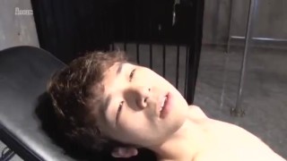 《ＢＢＳ》ＴＯＰ３－SPEX男孩影集收藏家, young Asian gay sex videos