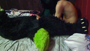 Furry Fox and Twink Bunny Yiff, best homemade gay porn sites