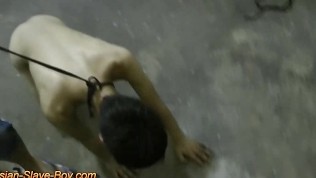 Slim Asian Boy Slave Doggy Trainning, Asian gay pirn